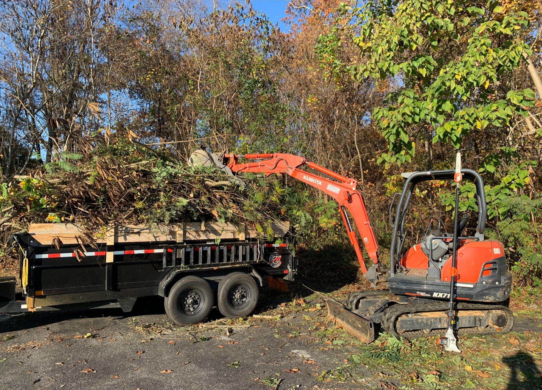 Excavator moving trees Moving brush with excavator