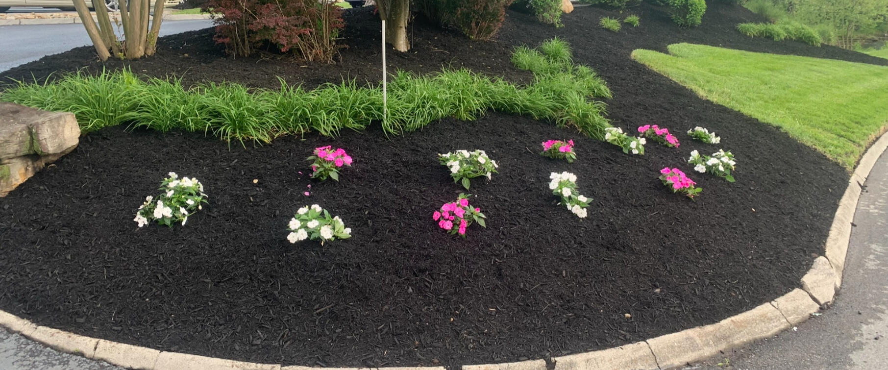 Flower and mulch bed with flowers Mulch bed with flowers