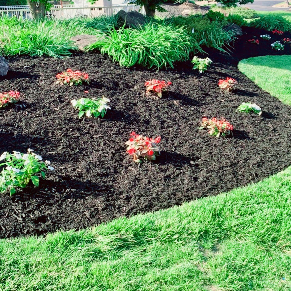 Landscaping flower bed Mulch and flower landscaping
