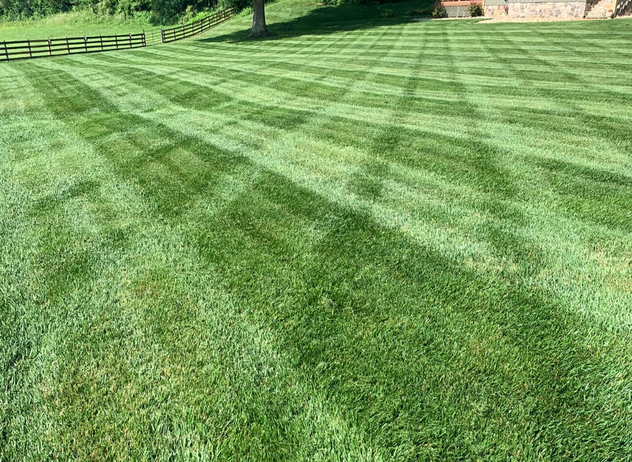 Lawn stripes Lawn cut with stripes